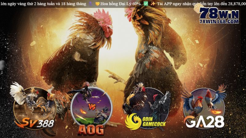 78WIN - nhà cái xem đá gà trực tuyến bảo mật bậc nhất