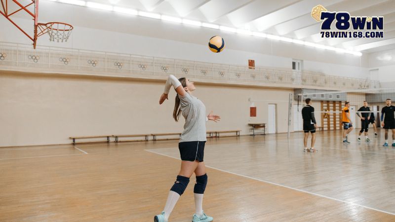 Những lựa chọn trong cá độ bóng chuyền